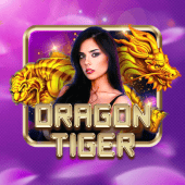 Dragon Tiger live table at OKPlay Casino APK